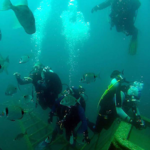 Worlds largest underwater reef Algarve